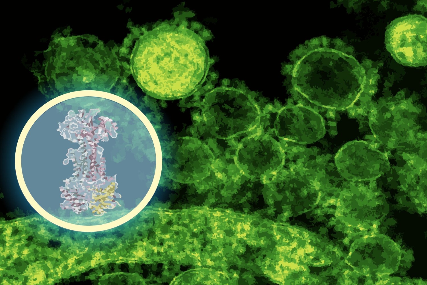 ai-maps-how-a-new-antibiotic-targets-gut-bacteria