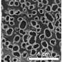 high-performance-supercapacitor-made-from-upcycled-water-bottles