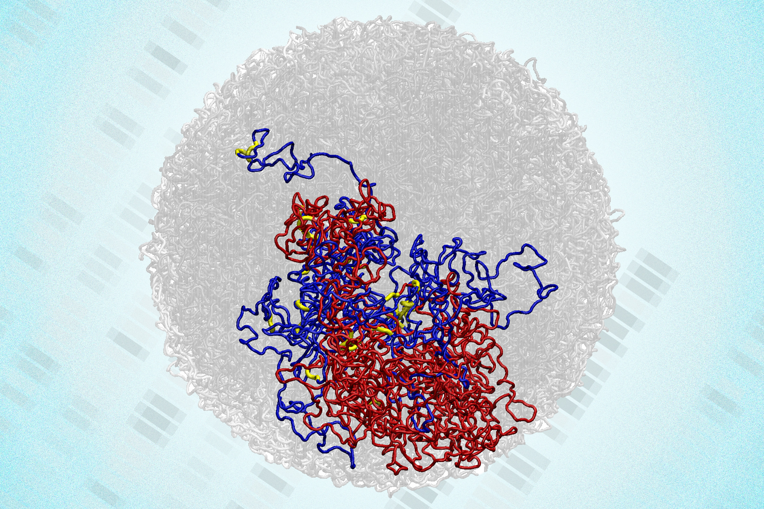 in-a-surprising-discovery,-scientists-find-tiny-loops-in-the-genomes-of-dividing-cells