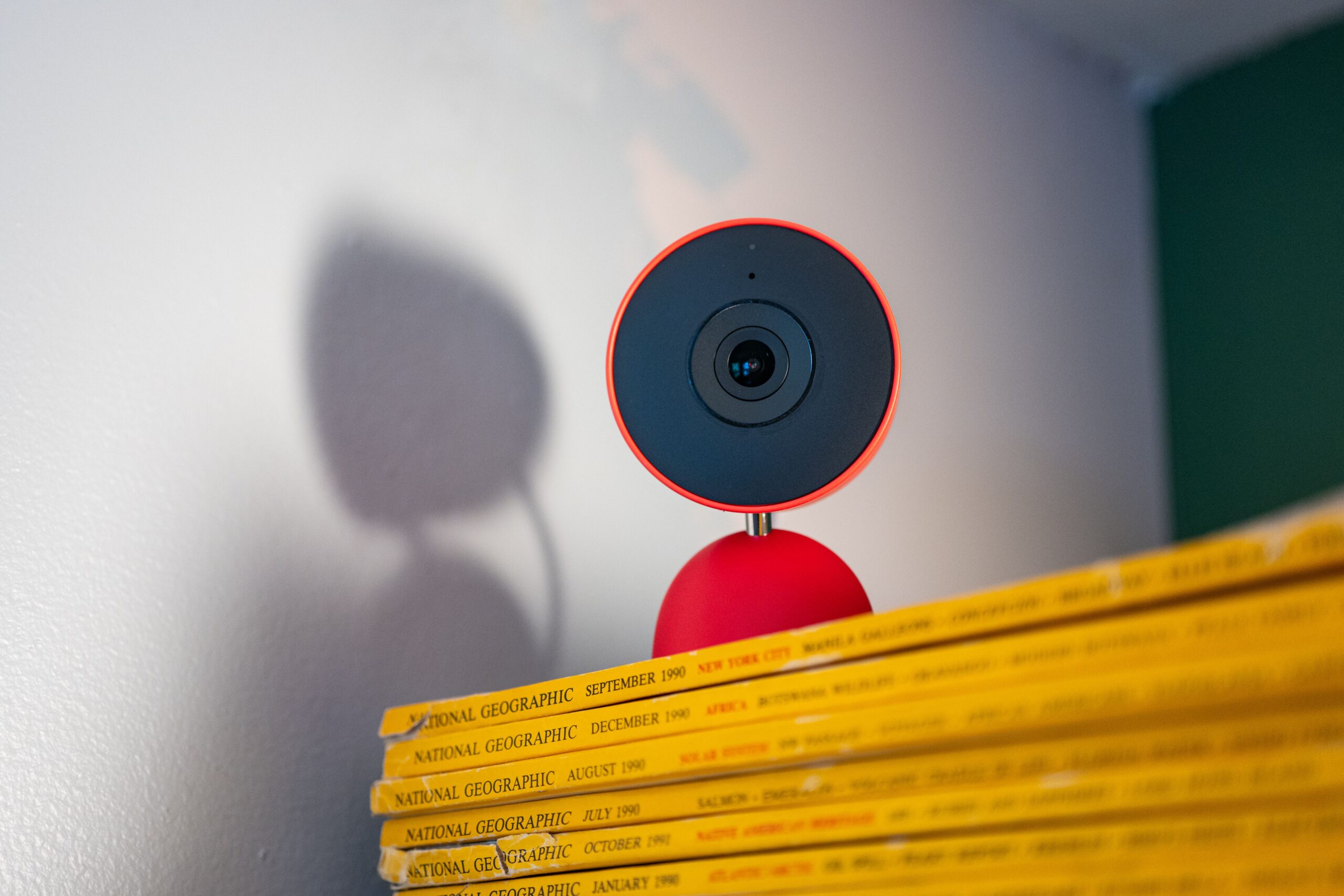 gemini-in-google-home-keeps-mistaking-my-dog-for-a-cat