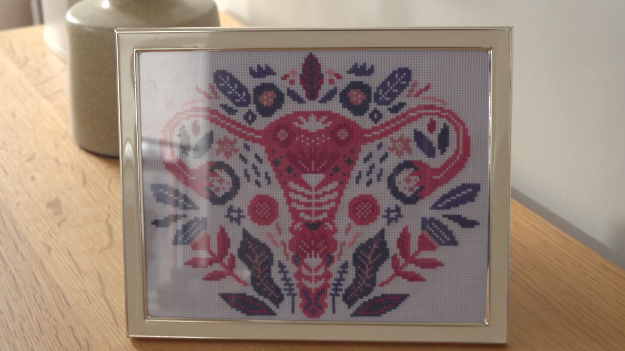 researchers-explore-a-treatment-that-could-delay-menopause-by-decades