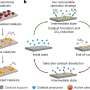 turning-pollution-into-clean-fuel-with-stable-methane-production-from-carbon-dioxide