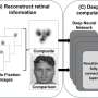 super-recognizers’-unique-eye-patterns-give-ai-an-edge-in-face-matching-tasks