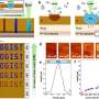 laser-can-transform-complex-semiconductor-properties-in-single-step-process