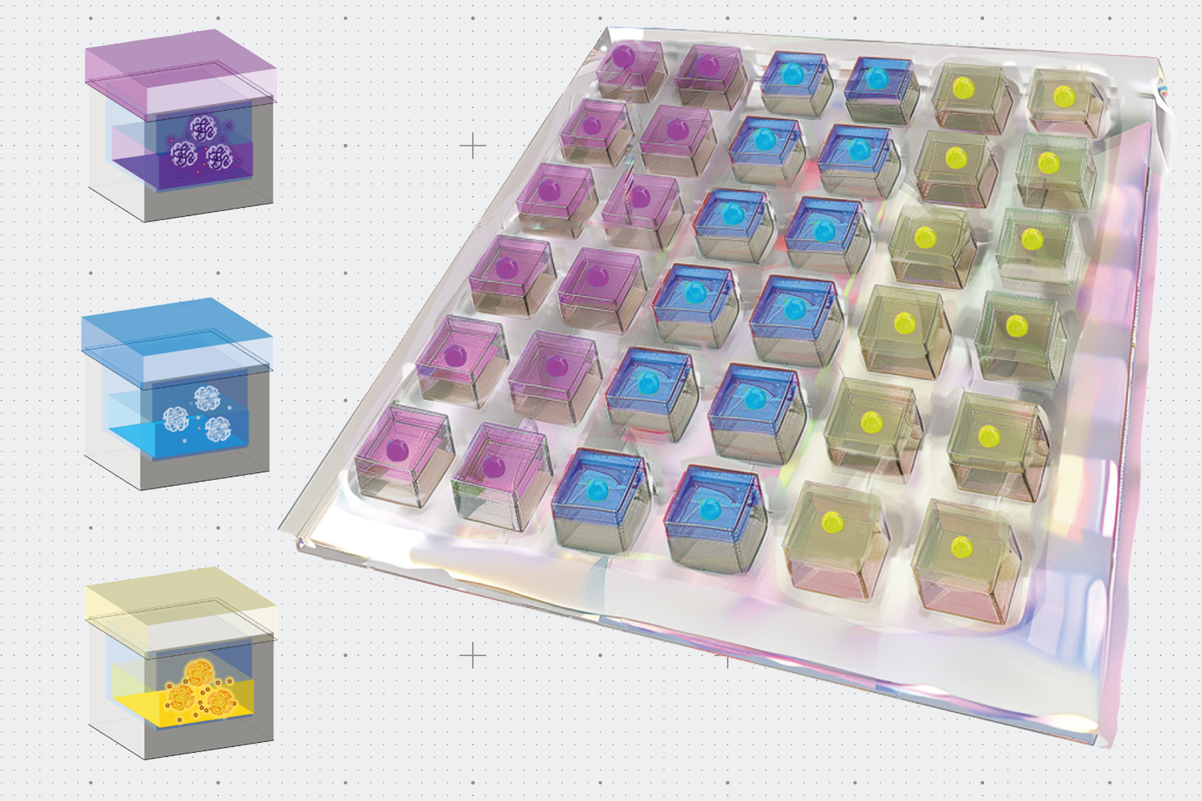 a-new-patch-could-help-to-heal-the-heart