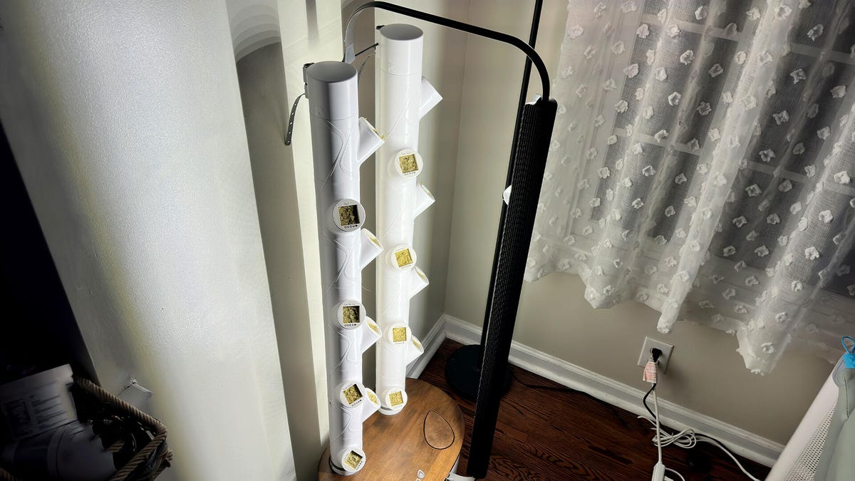 i-invested-in-a-smart-indoor-garden-you-don’t-have-to-–-how-my-harvesting-is-going-so-far