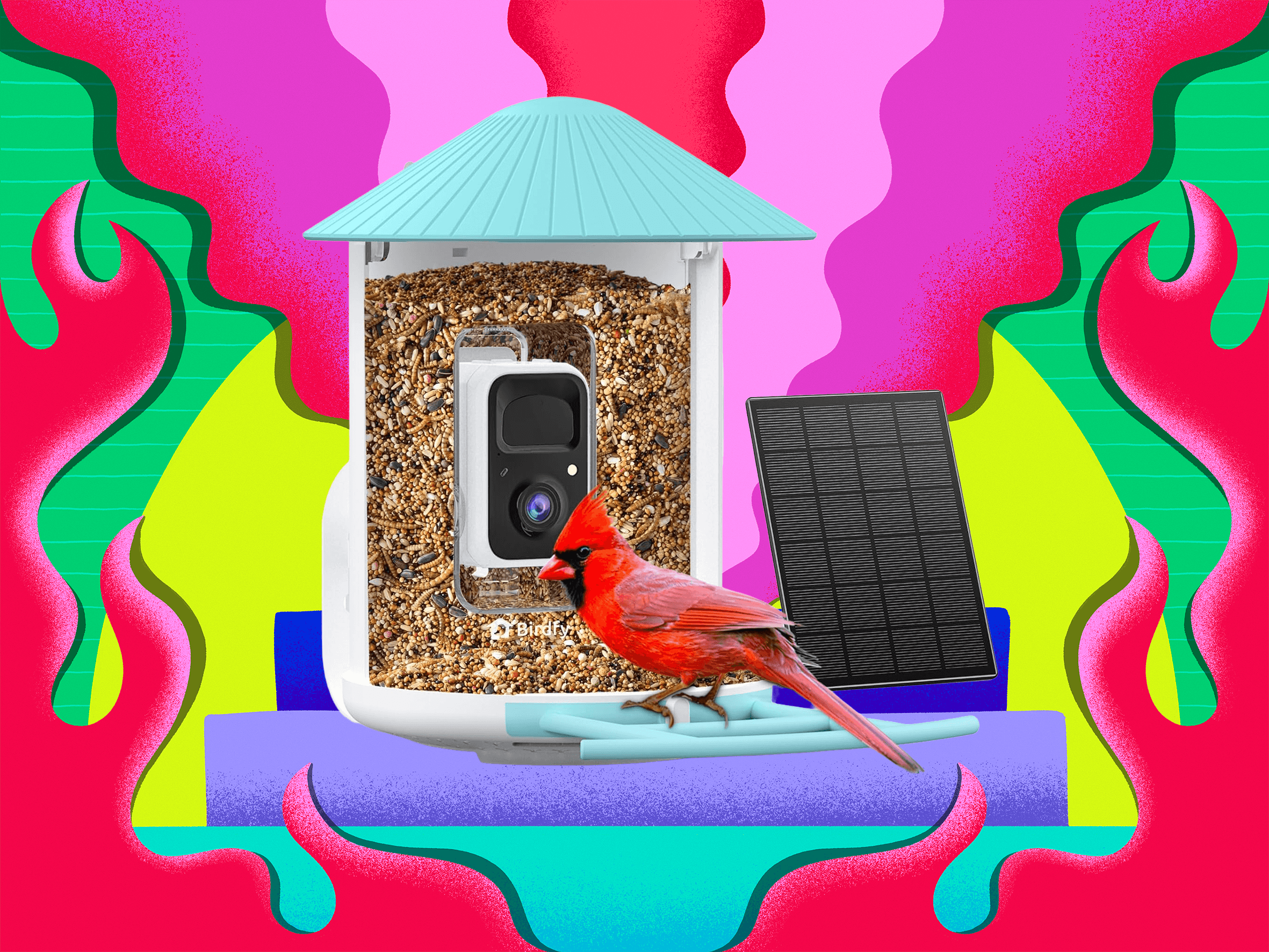 amazon-is-having-a-huge-black-friday-sale-on-birdfy-smart-bird-feeders-(2025)