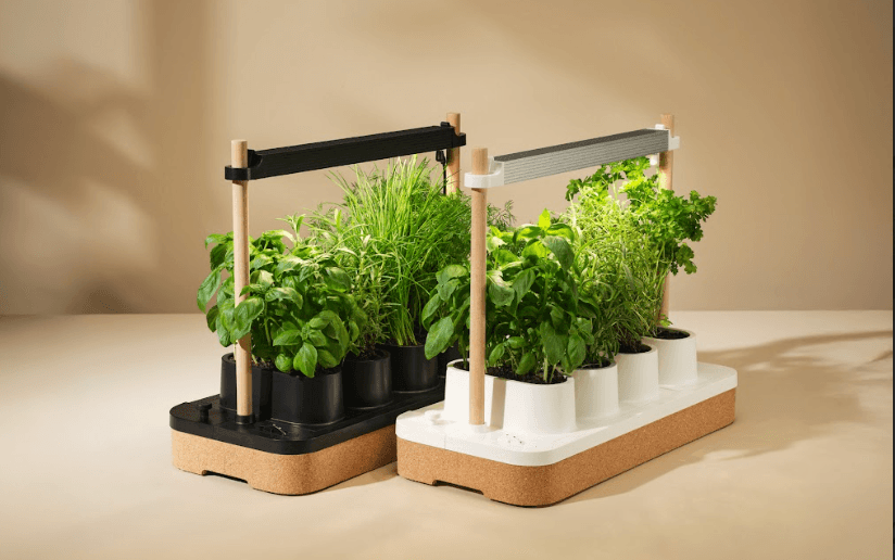 the-auk-mini-herb-garden-is-still-up-to-$30-off-(2025)