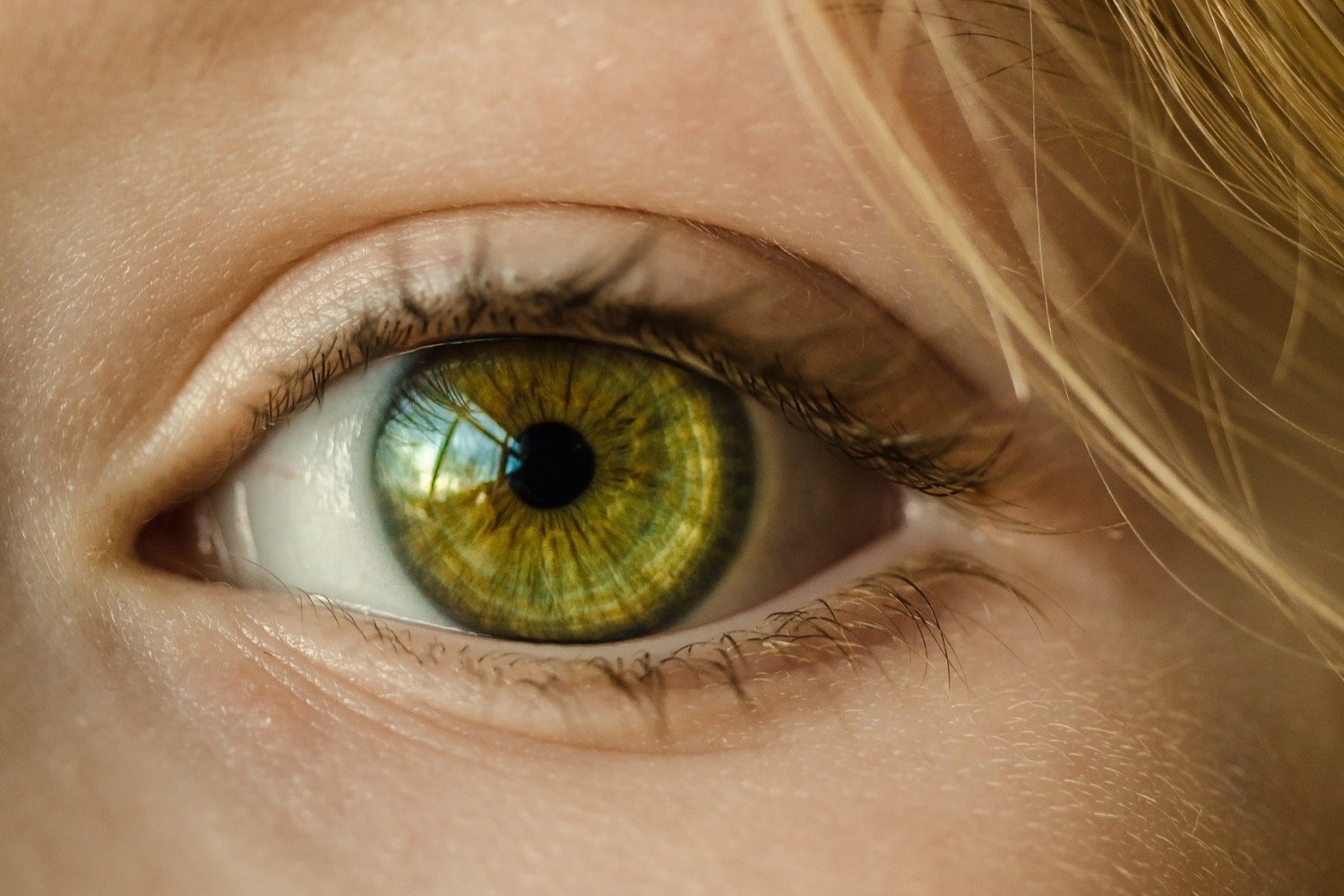 mit-study-shows-how-vision-can-be-rebooted-in-adults-with-amblyopia