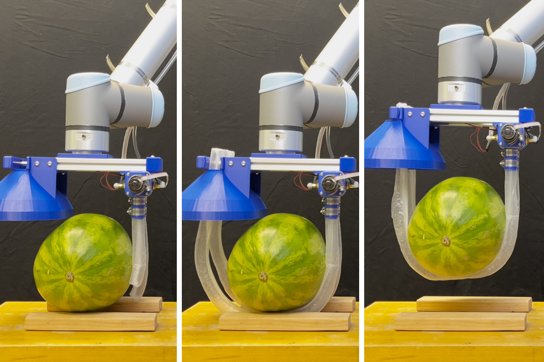vine-inspired-robotic-gripper-gently-lifts-heavy-and-fragile-objects